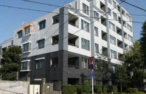 代田パークハウス外観３｜代田パークハウスは平成17年築、7階建てのマンションです。