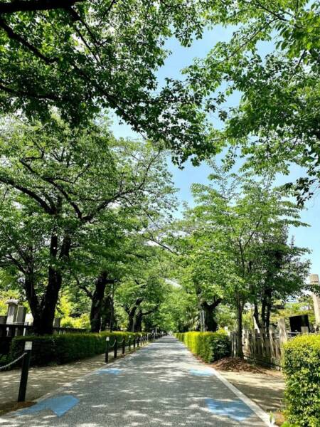 青山霊園600｜徒歩1分に「青山霊園」があります。