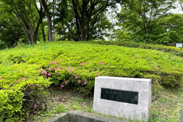 足立区立大谷田公園｜徒歩1分に「足立区立大谷田公園」があります。