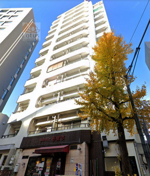 ニュー池尻マンション外観３｜ニュー池尻マンションは昭和46年築、13階建てのマンションです。玉川通りに立地します。田園都市線「池尻大橋」駅、「三軒茶屋」駅が利用可です。