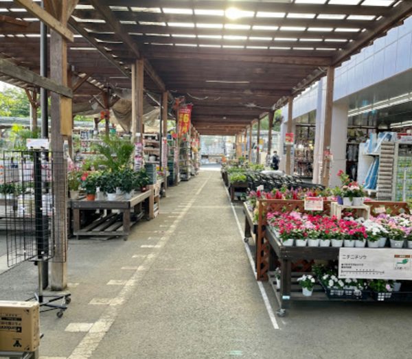 島忠 大谷田店600｜徒歩3分に「島忠 大谷田店」があります。