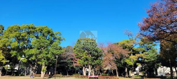 文庫の森｜徒歩4分に「文庫の森」公園があります。
