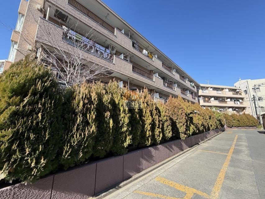 通りに沿って建物が連なり、植栽帯が歩行者動線と車道を分けています。バルコニーが規則的に並び、住戸配置の整った構成といえます。