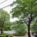 スカイコート日本橋浜町公園