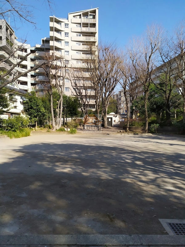 渋谷区立幡ヶ谷第三公園からの見上げでは、敷地のゆとりと緑のボリュームが強調されます。建物が公園側へ緩やかに開き、視界の抜けを確保しているのが特徴です。休日はペットと散歩する住民も多く、ペット飼育可というルールが自然に馴染む環境です。幡ケ谷ハイムグランシスは平成10年築、13階建のマンションです。