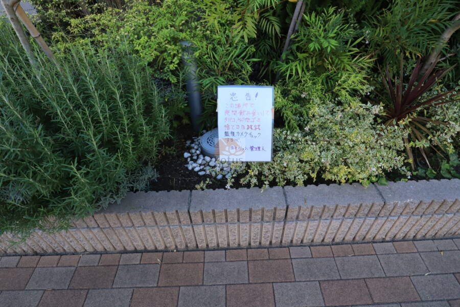 パレステージ六町3共用部5