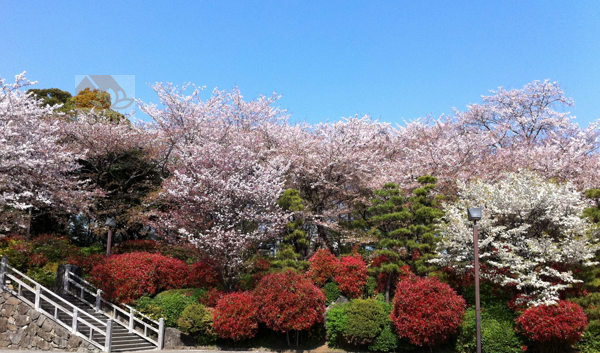 飛鳥山公園