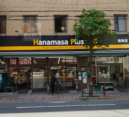 Hanamasa Plus + 根岸店｜金杉通りに「Hanamasa Plus + 根岸店」があります。徒歩5分程です。