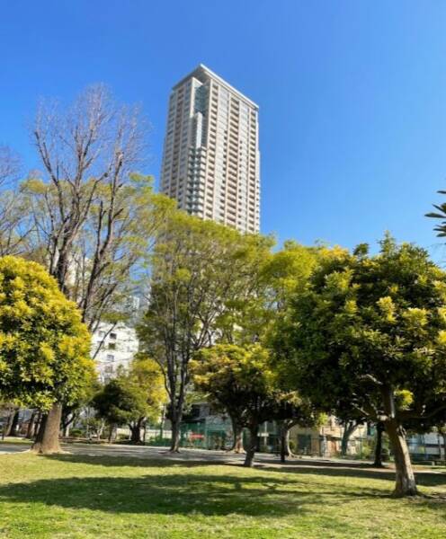 青山公園 北地区｜徒歩4分に「青山公園 北地区」があります。