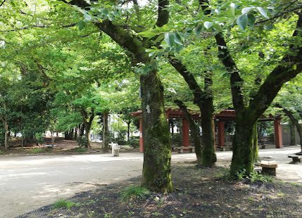 中央森林公園｜親水公園をたどって徒歩1分に「中央森林公園」があります。
