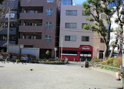 大井海岸公園｜南側は「大井海岸公園」のため日当たり良好です。