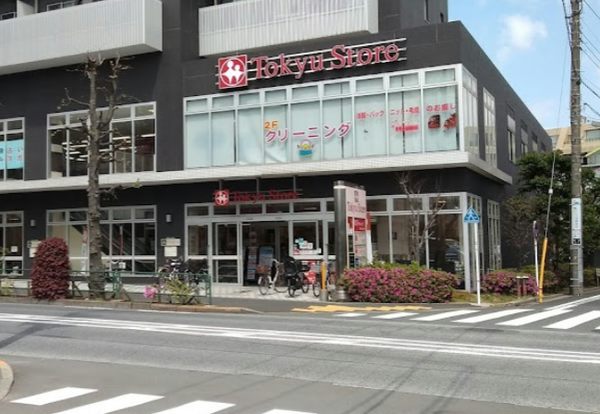 東急ストア 駒沢通り野沢店｜徒歩6分に「東急ストア 駒沢通り野沢店」があります。