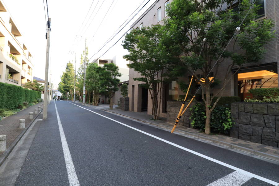 ザパークハウス学芸大学四季の杜エントランス1｜随所に植栽が施され落ち着いた雰囲気です。