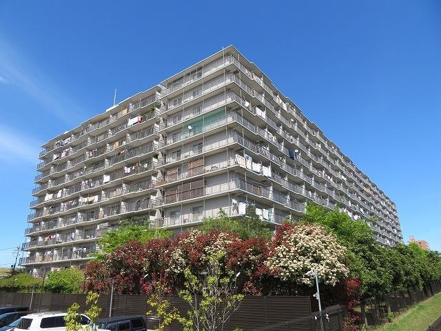 尾久橋スカイハイツ外観６｜尾久橋スカイハイツは昭和５８年築、１１階建てのマンションです。