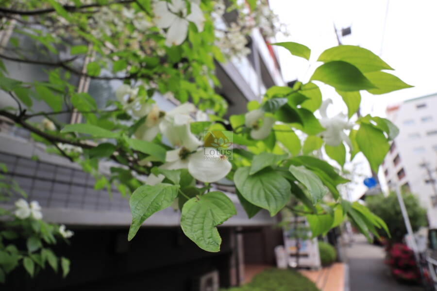 レガスタ錦糸町共用部3｜敷地内にはかわいらしい花をつける気が植栽されていました。