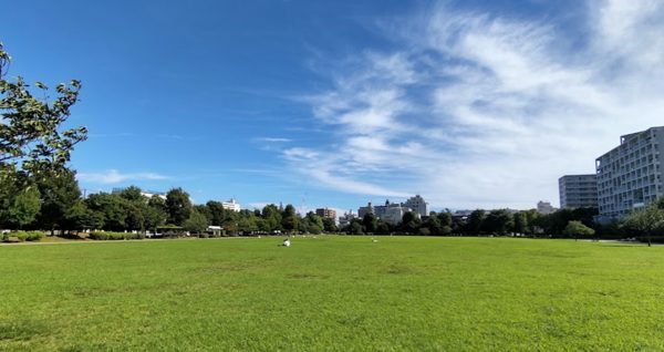 杉並区立桃井原っぱ公園｜徒歩3分に「杉並区立桃井原っぱ公園」があります。