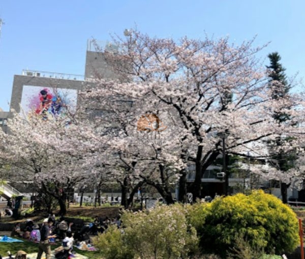 しながわ中央公園｜徒歩4分に「しながわ中央公園」があります。