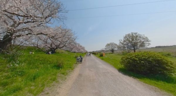 多摩川玉川公園600