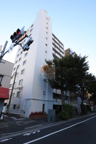 野沢ビューグリーン外観4｜環七通り沿いに立地します。