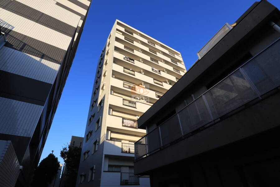 野沢ビューグリーン外観1｜野沢ビューグリーンは昭和48年築、11階建てのマンションです。