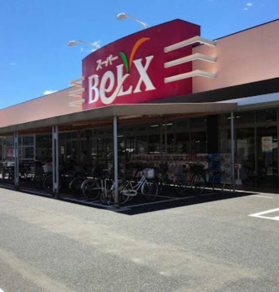ベルクス 墨田店600｜徒歩4分に「ベルクス 墨田店」があります。