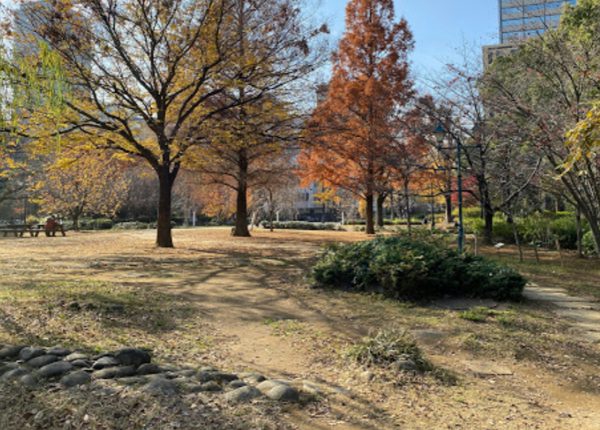 浜町公園600｜徒歩1分に「浜町公園」もあります。