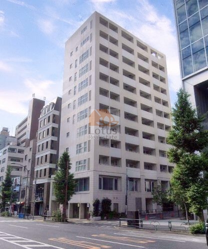 オーベル代官山ＤＥ外観３｜オーベル代官山ＤＥは平成17年築、12階建てのマンションです。