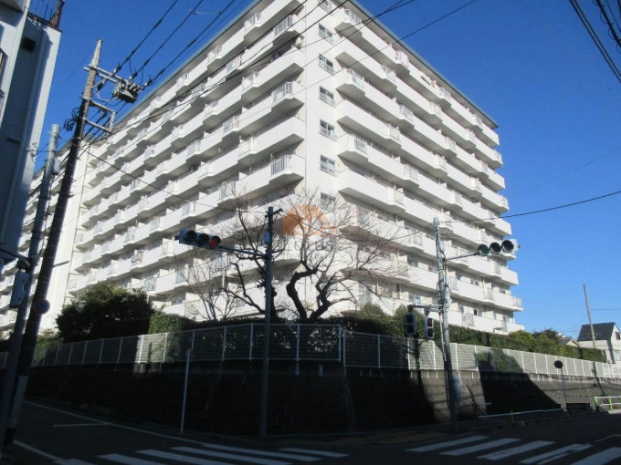 パシフィック武蔵野台ニューハイツは、昭和48年築、白を基調とした10階建の大規模レジデンスで、四方が道路に囲まれた開放感ある立地が魅力。総戸数173戸の規模が生み出す街並みとの調和も印象的。