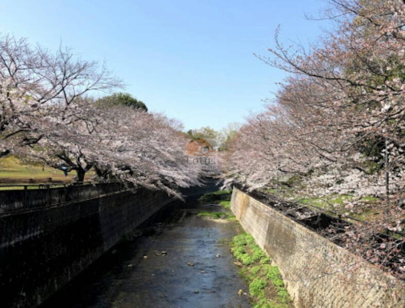 祖師谷公園｜徒歩3分に「祖師谷公園」があります。