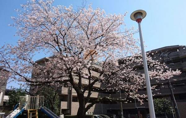 舟原公園｜エントランス前には「舟原公園」があります。