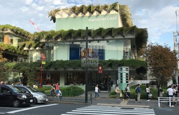 玉川高島屋S.C マロニエコート｜徒歩1分に「玉川高島屋S.C マロニエコート」があります。