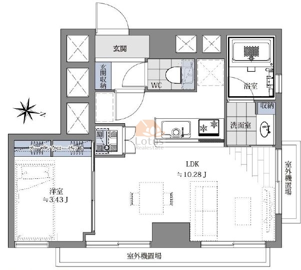 メイゾン中野505間取図