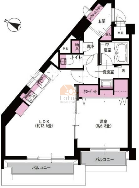 藤和シティコープ中野501間取図