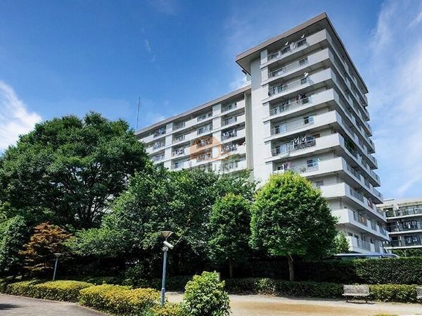 弦巻ハイツ外観２｜弦巻ハイツは昭和46年築、11階建てのマンションです。