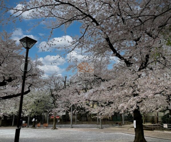 小山台公園