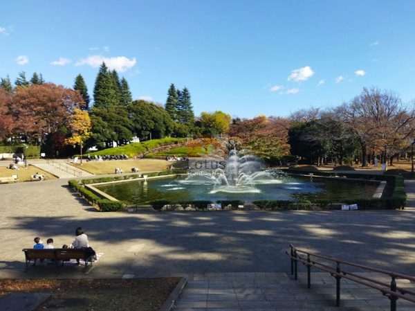 世田谷区立世田谷公園