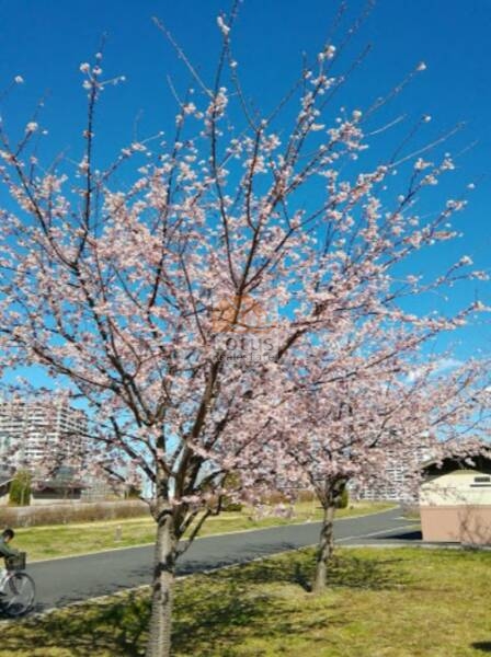 世田谷区立大道北三十三志公園｜エントランス前には」世田谷区立大道北三十三志公園」があります。