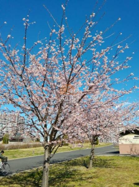 世田谷区立大道北三十三志公園