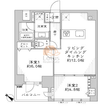 シテリオ渋谷松濤502間取図