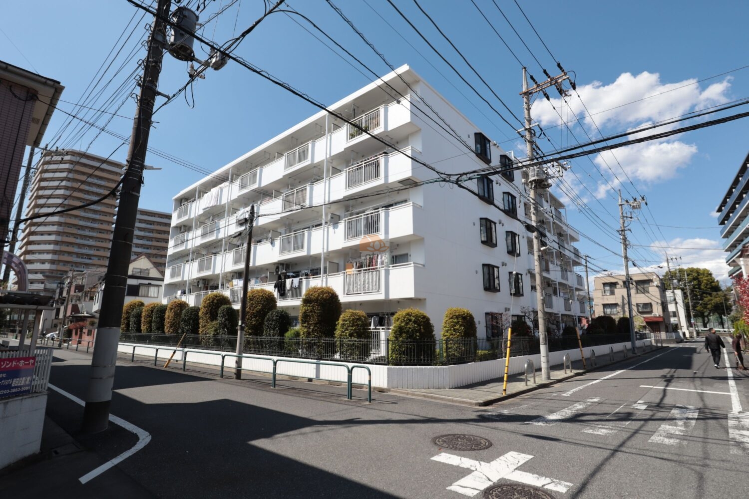 白い外壁と整列したバルコニーが並ぶ5階建の外観で、手前には丸く刈り込まれた植栽が連続しています。道路に二方向が接していて、歩道のない生活道路に面した落ち着いた住宅街の一角に位置しています。