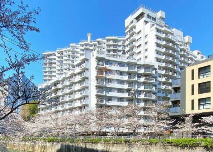 マンション雅叙苑外観２｜マンション雅叙苑は、1号棟から5号棟まであります。