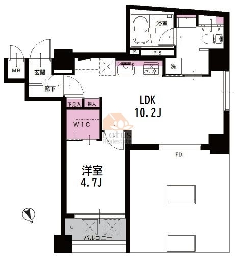 グランドメゾン本郷三丁目601間取図