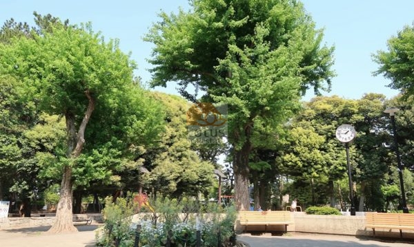 世田谷区立若林公園｜徒歩3分に「世田谷区立若林公園」があります。