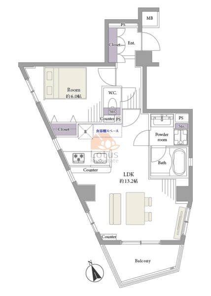 ディナスカーラ大井町502間取図