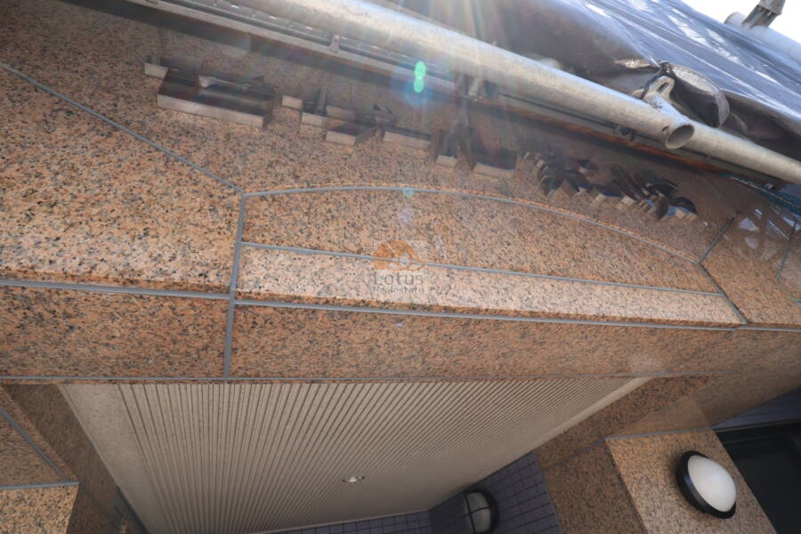 セザール第２小岩エントランス3｜館銘板も隠れていました。