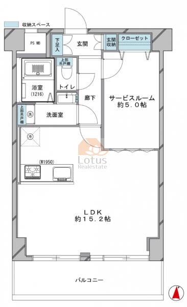 ドルミ錦糸町長谷川ビル203間取図