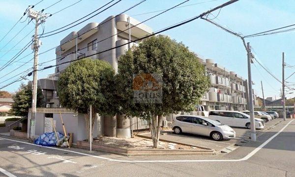 ピア・グランデ大泉学園外観３｜ピアグランデ大泉学園は平成3年築、3階建のマンションです。