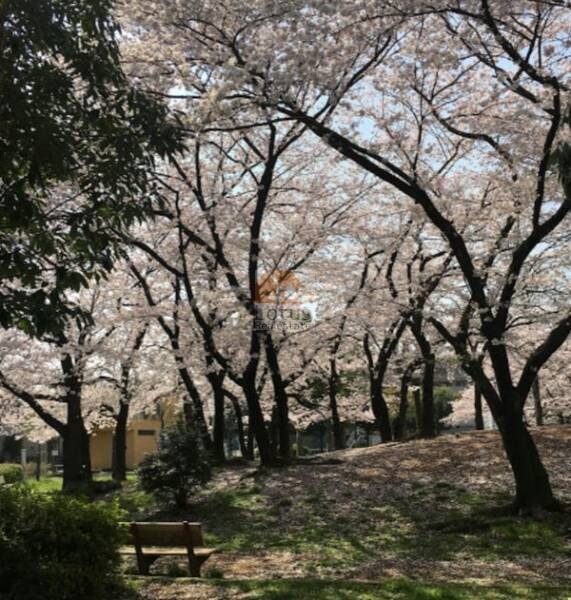 足立区立みだまえ公園｜徒歩1分に「足立区立みだまえ公園」があります。