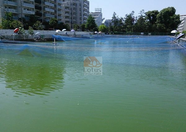 砂町魚釣場｜徒歩1分に「砂町魚釣場」があります。仙台堀川公園内にあります。