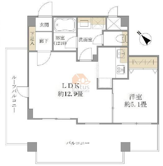 レクシオシティ高円寺502間取図